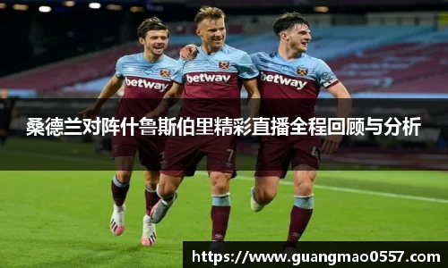 桑德兰对阵什鲁斯伯里精彩直播全程回顾与分析