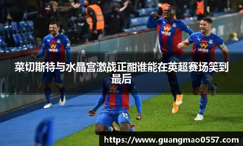 菜切斯特与水晶宫激战正酣谁能在英超赛场笑到最后
